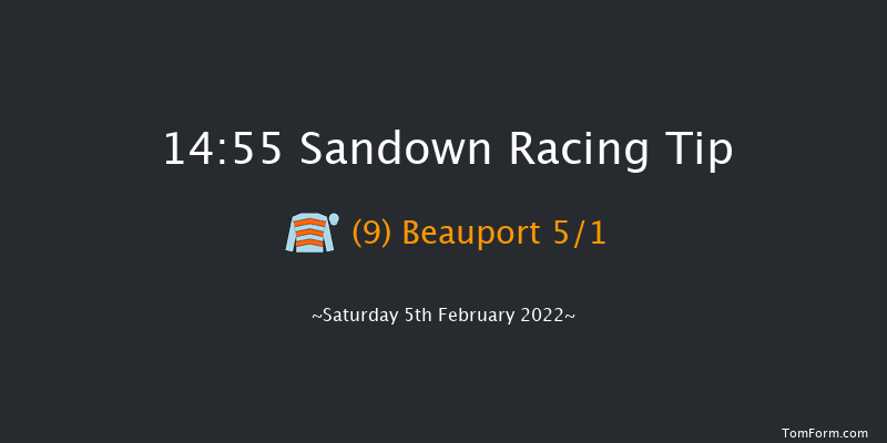 Sandown 14:55 Handicap Hurdle (Class 1) 23f Sat 8th Jan 2022