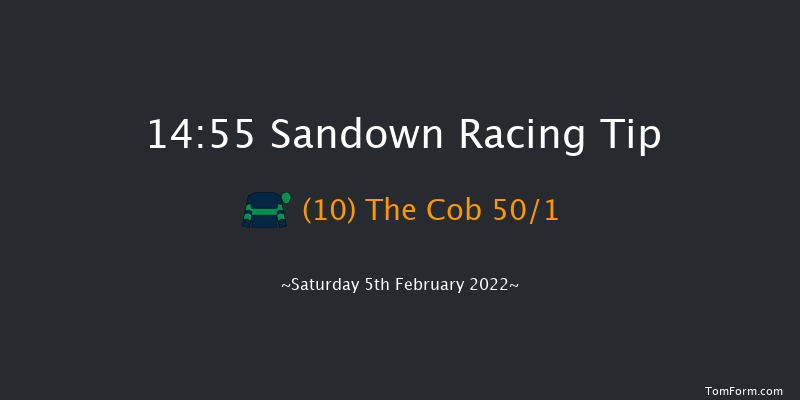 Sandown 14:55 Handicap Hurdle (Class 1) 23f Sat 8th Jan 2022