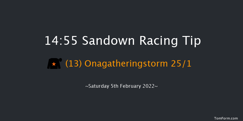 Sandown 14:55 Handicap Hurdle (Class 1) 23f Sat 8th Jan 2022