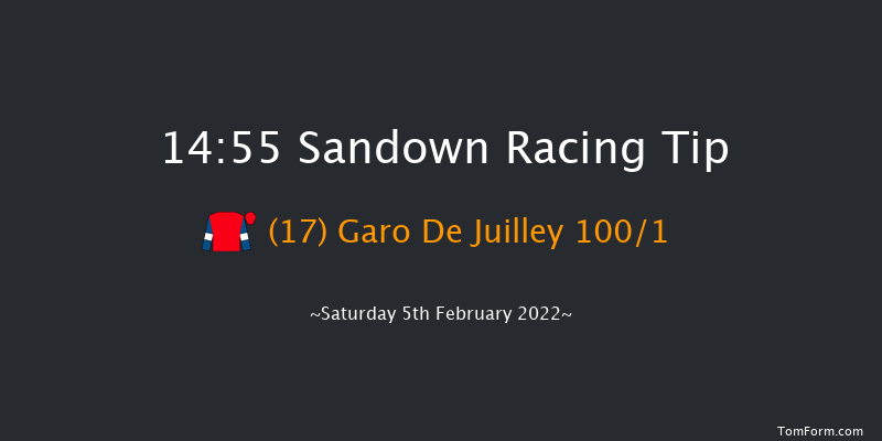 Sandown 14:55 Handicap Hurdle (Class 1) 23f Sat 8th Jan 2022