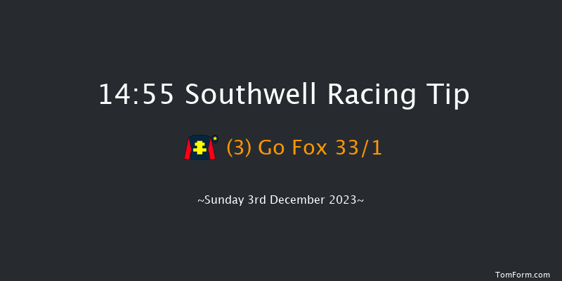 Southwell 14:55 Stakes (Class 4) 16f Tue 28th Nov 2023