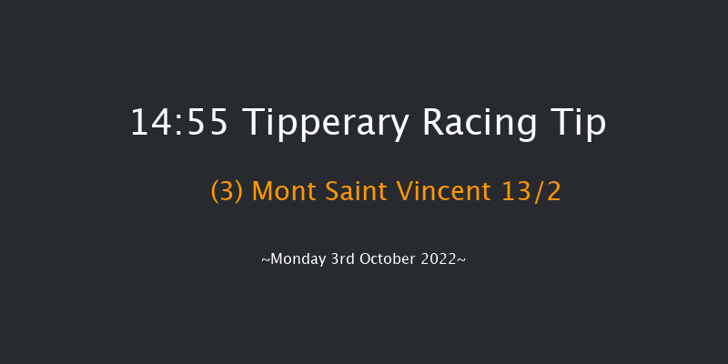 Tipperary 14:55 Handicap Hurdle 24f Sun 2nd Oct 2022