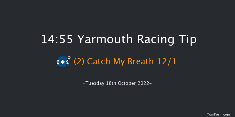 Yarmouth 14:55 Handicap (Class 6) 12f Mon 10th Oct 2022