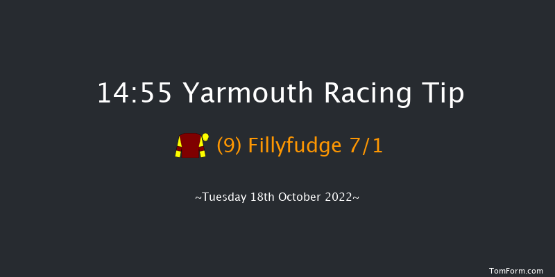 Yarmouth 14:55 Handicap (Class 6) 12f Mon 10th Oct 2022