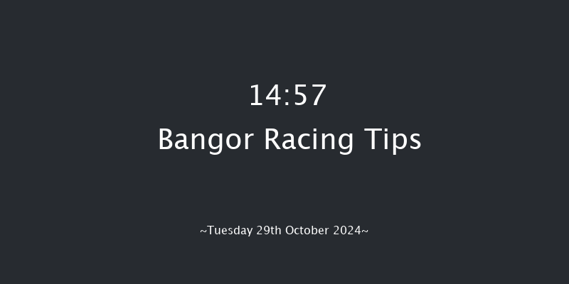 Bangor-on-dee  14:57 Handicap Chase (Class 4) 20f  Fri 6th Sep 2024