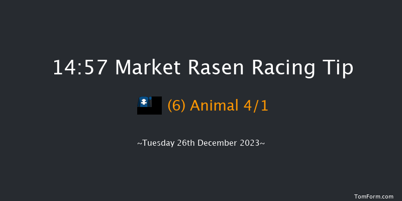 Market Rasen 14:57 Handicap Chase (Class 3) 28f Thu 7th Dec 2023