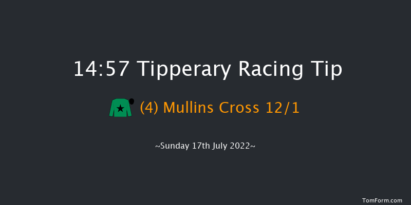 Tipperary 14:57 Handicap Chase 17f Thu 30th Jun 2022