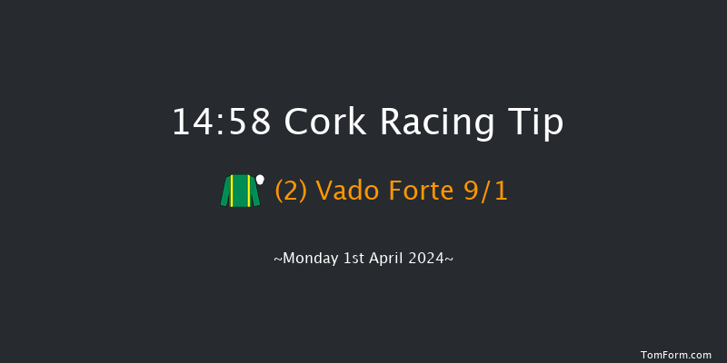 Cork  14:58 Handicap Chase 17f Sun 31st Mar 2024