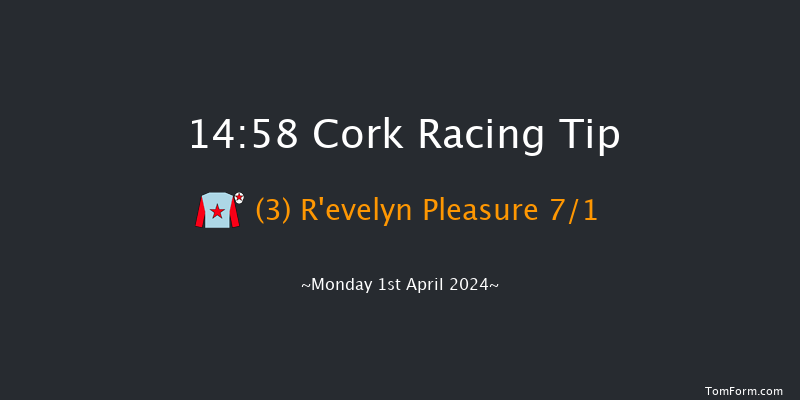 Cork  14:58 Handicap Chase 17f Sun 31st Mar 2024