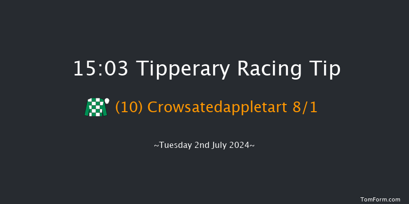 Tipperary  15:03 Handicap Chase 17f Wed 29th May 2024