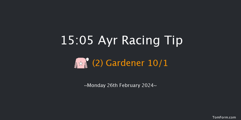 Ayr  15:05 Handicap Chase (Class 3) 16f Tue 13th Feb 2024