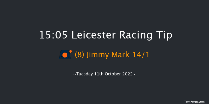 Leicester 15:05 Handicap (Class 6) 8f Tue 4th Oct 2022