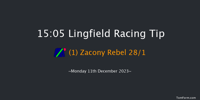 Lingfield 15:05 Handicap Hurdle (Class 4) 20f Wed 6th Dec 2023