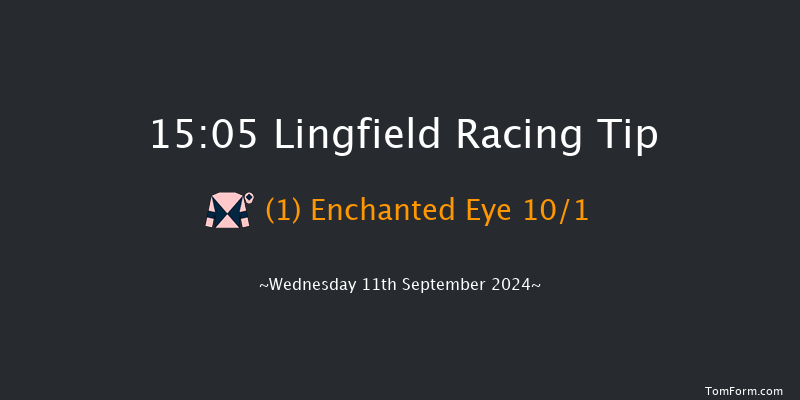 Lingfield  15:05 Handicap (Class 5) 8f Tue 10th Sep 2024