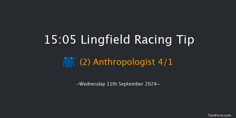 Lingfield  15:05 Handicap (Class 5) 8f Tue 10th Sep 2024