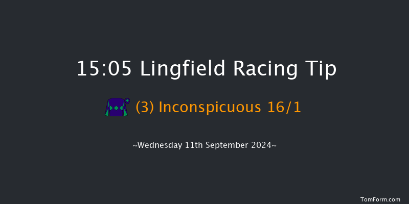 Lingfield  15:05 Handicap (Class 5) 8f Tue 10th Sep 2024