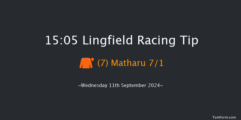 Lingfield  15:05 Handicap (Class 5) 8f Tue 10th Sep 2024