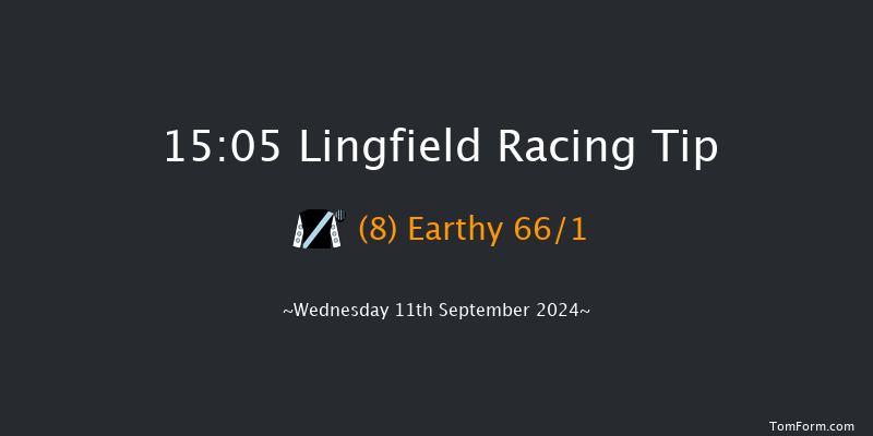 Lingfield  15:05 Handicap (Class 5) 8f Tue 10th Sep 2024