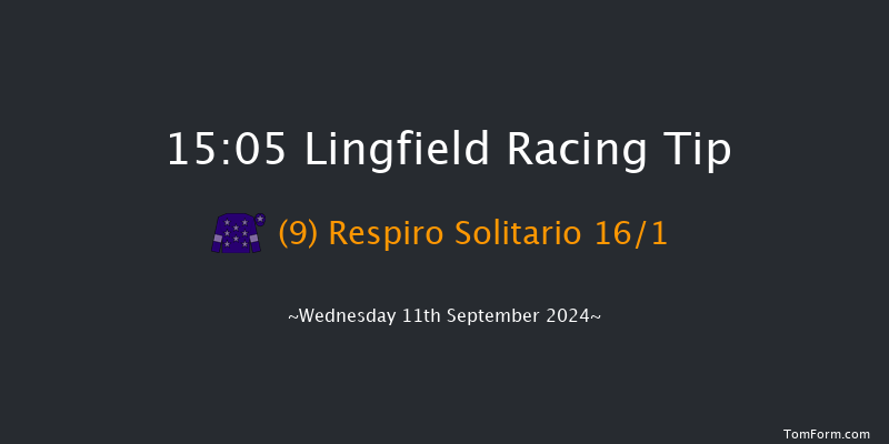 Lingfield  15:05 Handicap (Class 5) 8f Tue 10th Sep 2024