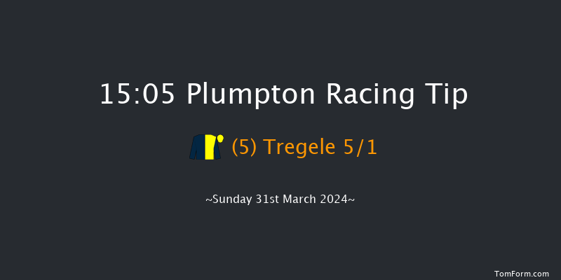 Plumpton  15:05 Handicap Hurdle (Class 4)
20f Mon 11th Mar 2024