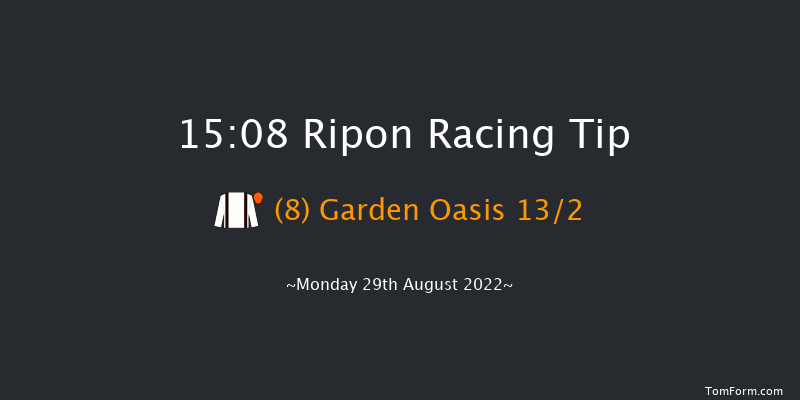 Ripon 15:08 Handicap (Class 2) 8f Sat 13th Aug 2022