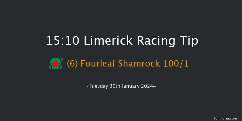 Limerick  15:10 Handicap Hurdle 16f Fri 29th Dec 2023