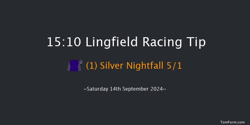 Lingfield  15:10 Handicap (Class 5) 8f Wed 11th Sep 2024