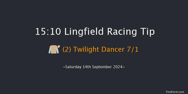 Lingfield  15:10 Handicap (Class 5) 8f Wed 11th Sep 2024