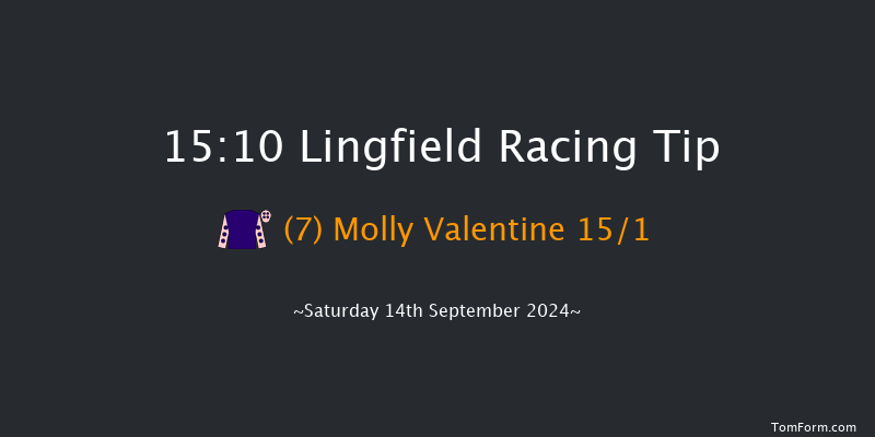 Lingfield  15:10 Handicap (Class 5) 8f Wed 11th Sep 2024