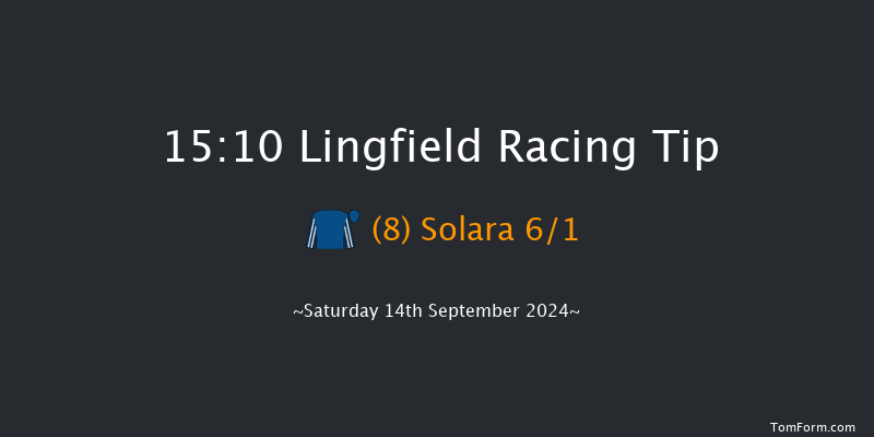 Lingfield  15:10 Handicap (Class 5) 8f Wed 11th Sep 2024