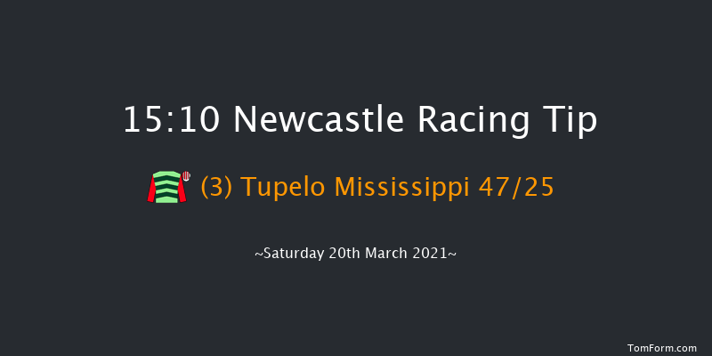 QuinnBet Casino Novices' Handicap Hurdle (GBB Race) Newcastle 15:10 Handicap Hurdle (Class 2) 22f Tue 16th Mar 2021