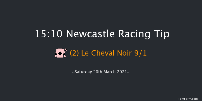 QuinnBet Casino Novices' Handicap Hurdle (GBB Race) Newcastle 15:10 Handicap Hurdle (Class 2) 22f Tue 16th Mar 2021