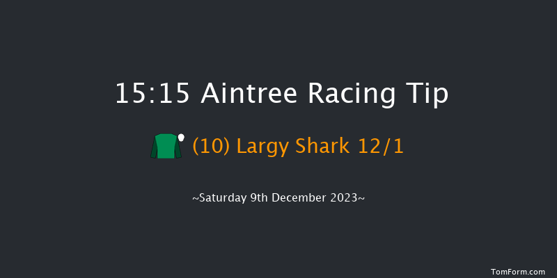 Aintree 15:15 Handicap Hurdle (Class 2) 20f Sat 11th Nov 2023