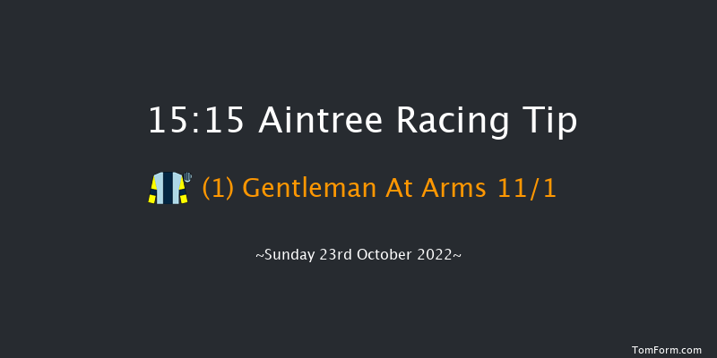 Aintree 15:15 Handicap Hurdle (Class 2) 20f Fri 10th Jun 2022