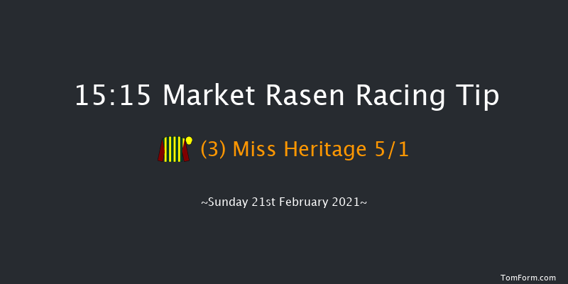 MansionBet's Faller Insurance Handicap Hurdle Market Rasen 15:15 Handicap Hurdle (Class 3) 17f Sat 16th Jan 2021