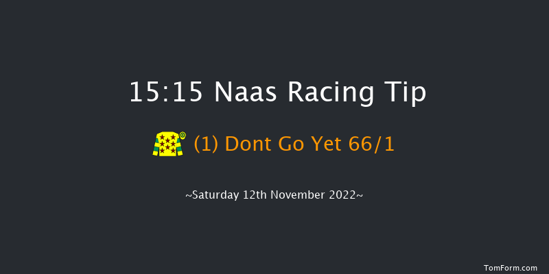 Naas 15:15 Handicap Chase 20f Sun 6th Nov 2022