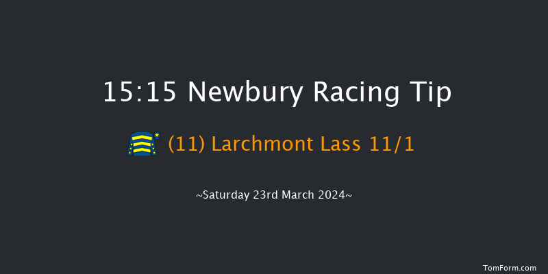 Newbury  15:15 Handicap Hurdle (Class 1)
20f Fri 22nd Mar 2024