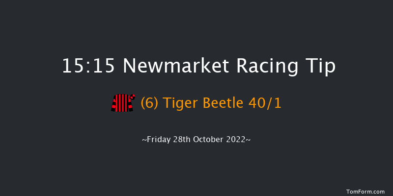 Newmarket 15:15 Handicap (Class 3) 10f Wed 19th Oct 2022