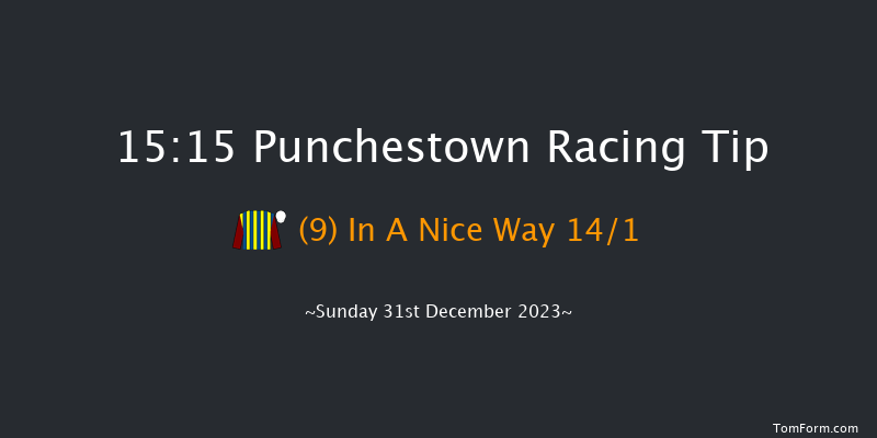 Punchestown 15:15 Handicap Hurdle 17f Tue 12th Dec 2023