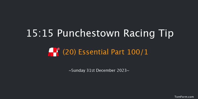 Punchestown 15:15 Handicap Hurdle 17f Tue 12th Dec 2023