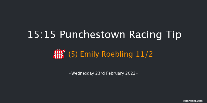 Punchestown 15:15 Maiden Hurdle 22f Sun 13th Feb 2022