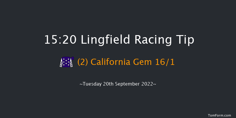 Lingfield 15:20 Handicap (Class 4) 5f Wed 31st Aug 2022