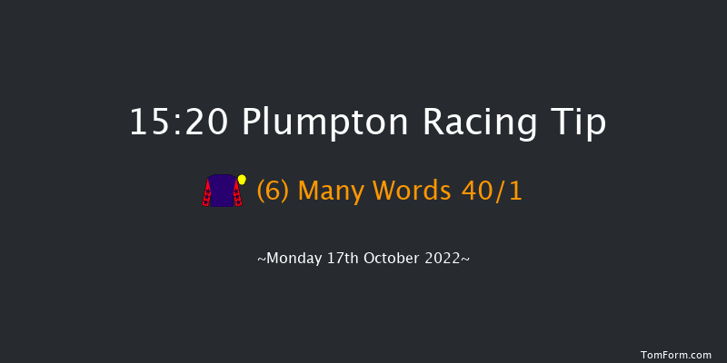 Plumpton 15:20 Handicap Hurdle (Class 5) 16f Sun 18th Sep 2022