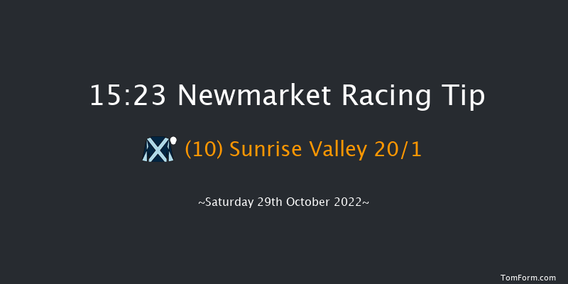 Newmarket 15:23 Handicap (Class 3) 8f Fri 28th Oct 2022