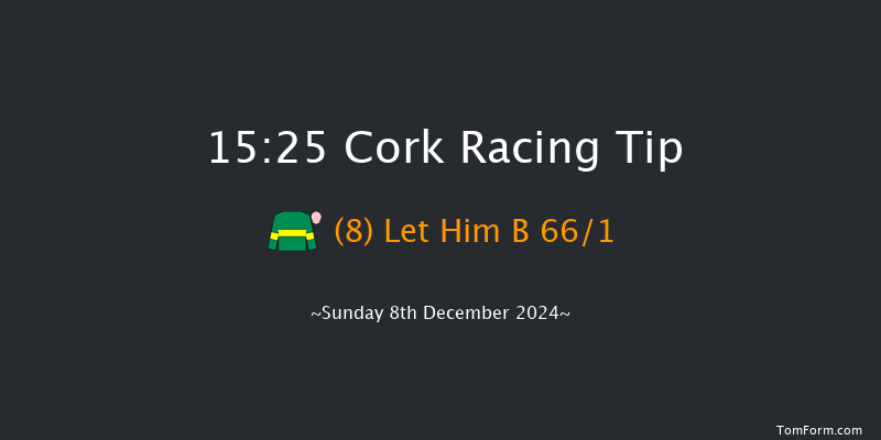 Cork  15:25 Handicap Hurdle 20f Sun 24th Nov 2024