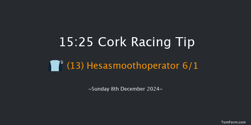 Cork  15:25 Handicap Hurdle 20f Sun 24th Nov 2024