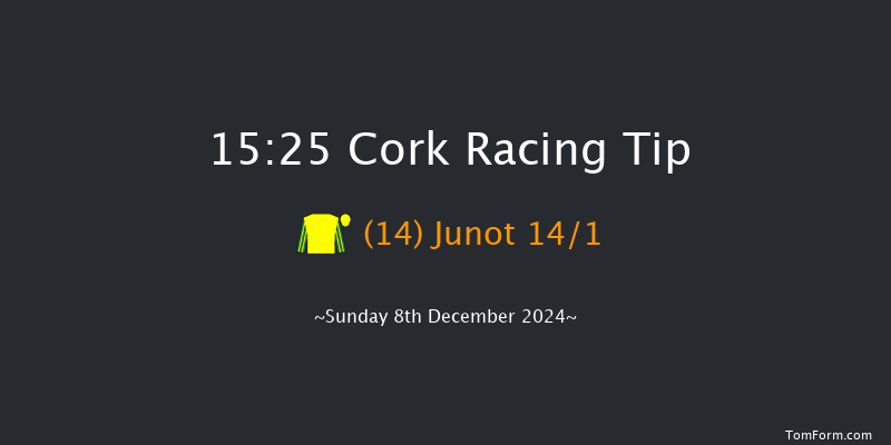 Cork  15:25 Handicap Hurdle 20f Sun 24th Nov 2024