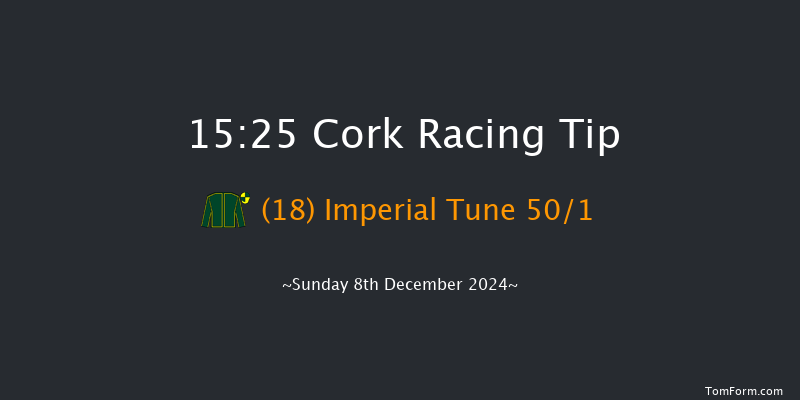 Cork  15:25 Handicap Hurdle 20f Sun 24th Nov 2024