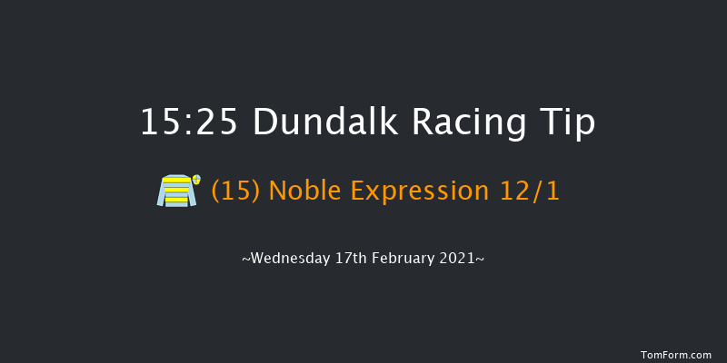 DundalkStadium.com Handicap (45-65) (Div 1) Dundalk 15:25 Handicap 12f Fri 12th Feb 2021