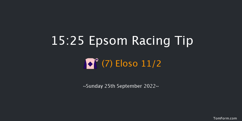 Epsom 15:25 Handicap (Class 4) 12f Thu 8th Sep 2022